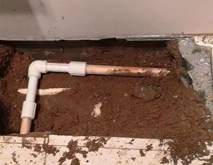 鹤岗市测漏水哪家好