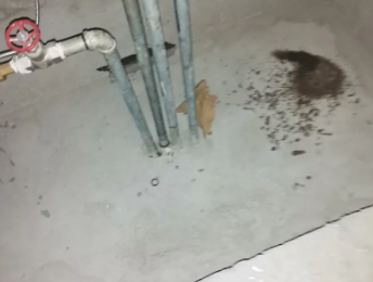 鹤岗市卫生间测漏水价格明细