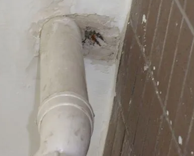 鹤岗市漏水检测哪家好